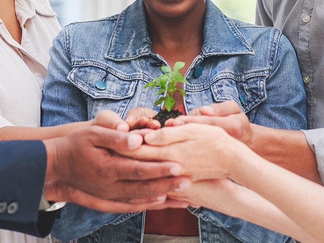 Group of peoples hands holding plant and soil