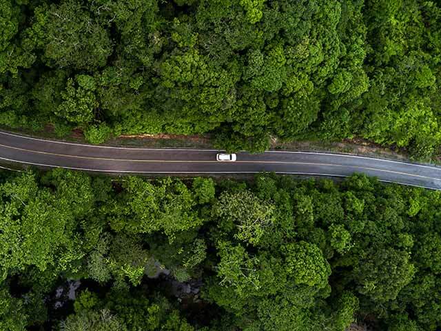 car driving on road through green trees