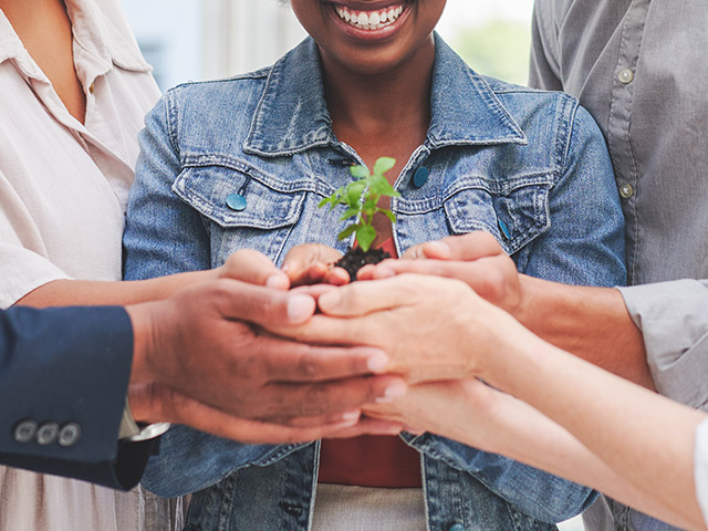 Group of peoples hands holding plant and soil