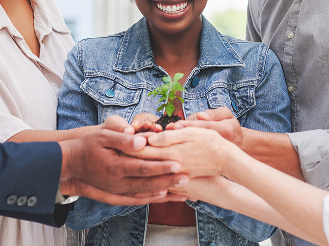 Group of peoples hands holding plant and soil