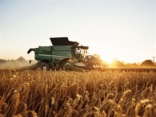 Harvester operating in sun-soaked field