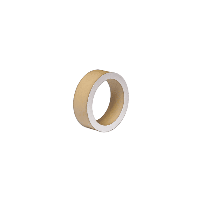 CTS Piezoceramic Ring Large.png