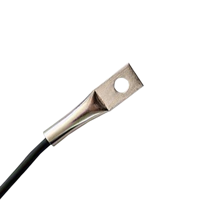 DIgital temp sensor 2 640x640.jpg