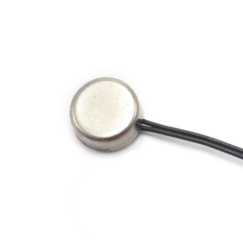 Temperature Probes 6022
