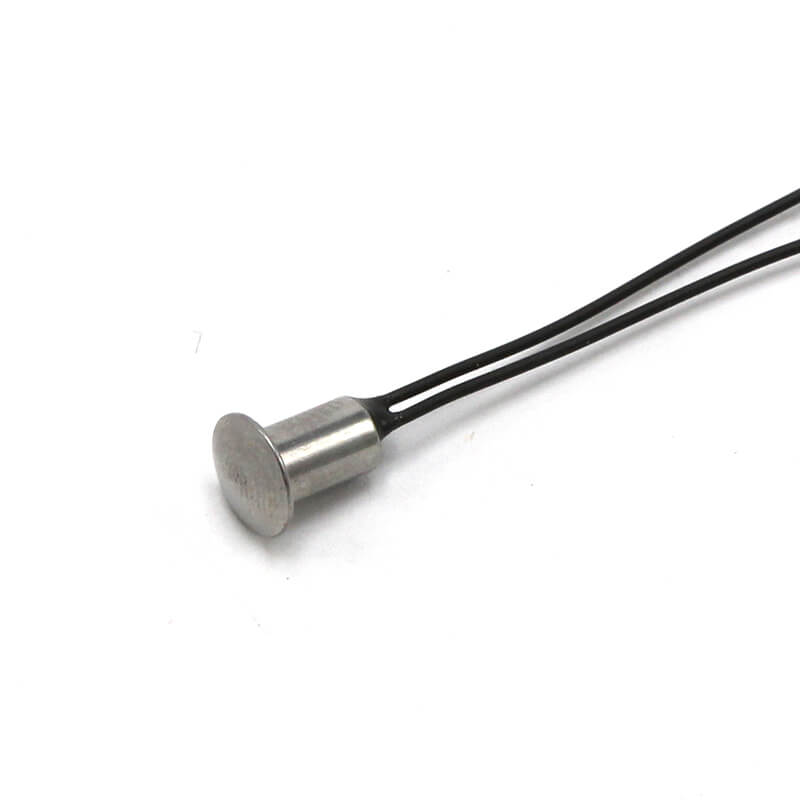 Temperature Probes 6027