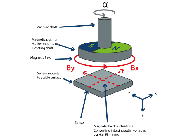 Illustration of how a Hall-effect rotary position sensor functions